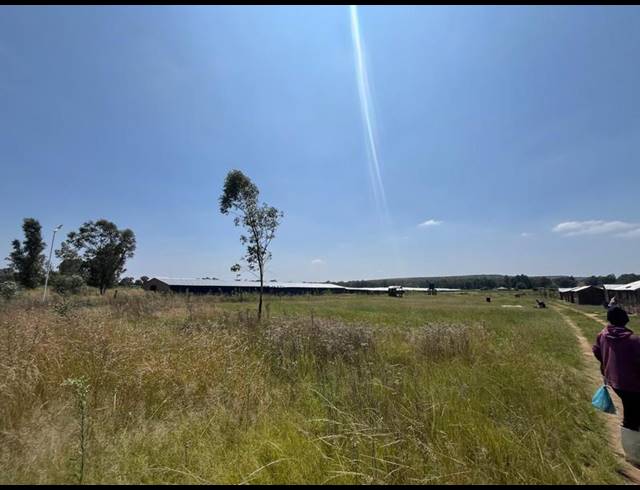 FARM FOR SALE IN WALKERVILLE CENTRAL